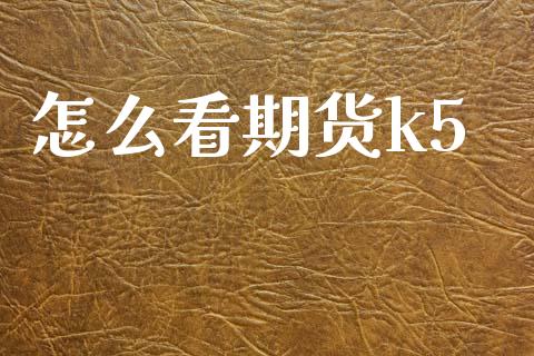 怎么看期货k5_https://m.jnlaobingbanjia.com_基金市场_第1张