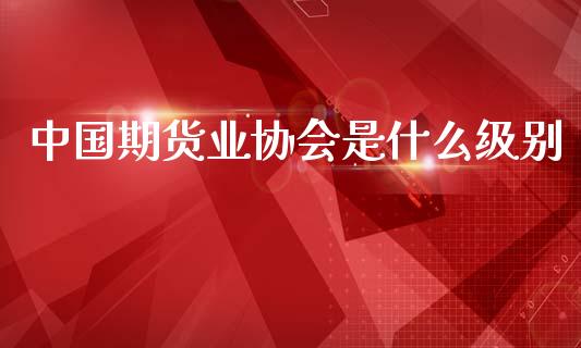 中国期货业协会是什么级别_https://m.jnlaobingbanjia.com_理财规划_第1张