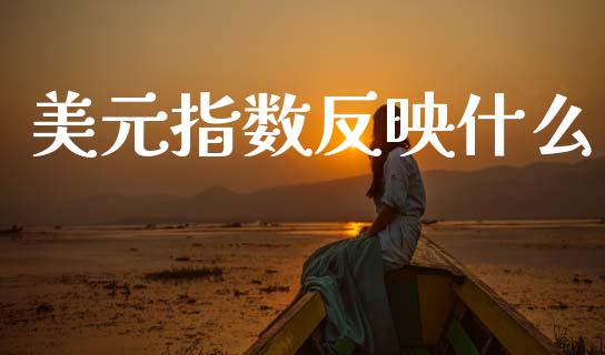 美元指数反映什么_https://m.jnlaobingbanjia.com_理财规划_第1张