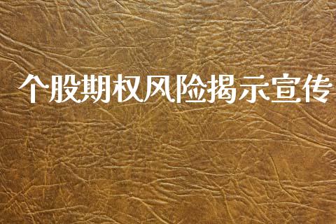 个股期权风险揭示宣传_https://m.jnlaobingbanjia.com_全球市场_第1张