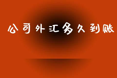 公司外汇多久到账_https://m.jnlaobingbanjia.com_基金市场_第1张