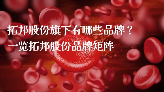 拓邦股份旗下有哪些品牌？一览拓邦股份品牌矩阵_https://m.jnlaobingbanjia.com_全球市场_第1张