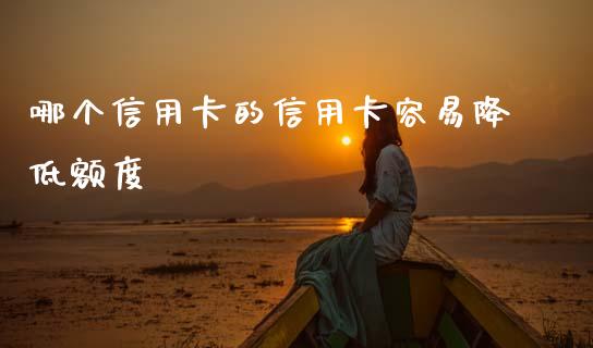 哪个信用卡的信用卡容易降低额度_https://m.jnlaobingbanjia.com_股市新闻_第1张