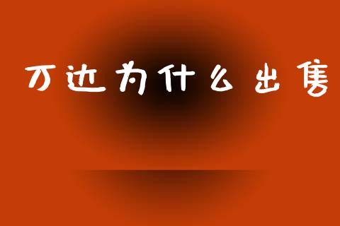 万达为什么出售_https://m.jnlaobingbanjia.com_基金市场_第1张