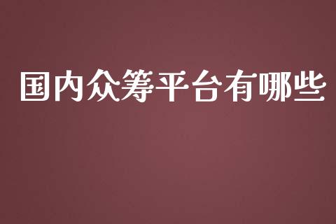 国内众筹平台有哪些_https://m.jnlaobingbanjia.com_基金市场_第1张