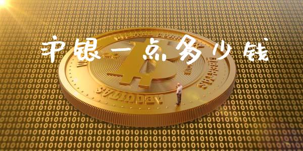沪银一点多少钱_https://m.jnlaobingbanjia.com_全球市场_第1张