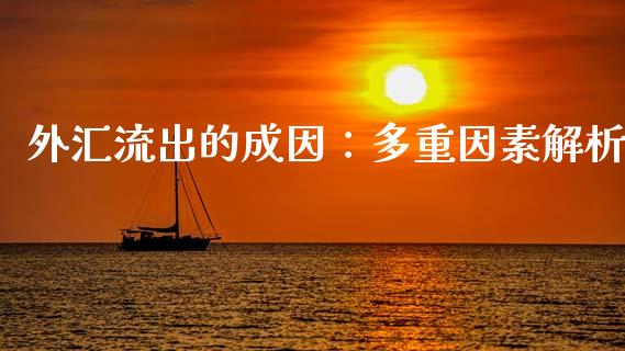 外汇流出的成因：多重因素解析_https://m.jnlaobingbanjia.com_金融监管_第1张