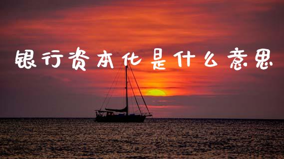 银行资本化是什么意思_https://m.jnlaobingbanjia.com_金融监管_第1张