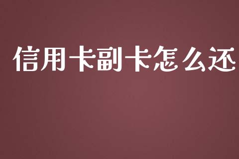 信用卡副卡怎么还_https://m.jnlaobingbanjia.com_金融监管_第1张