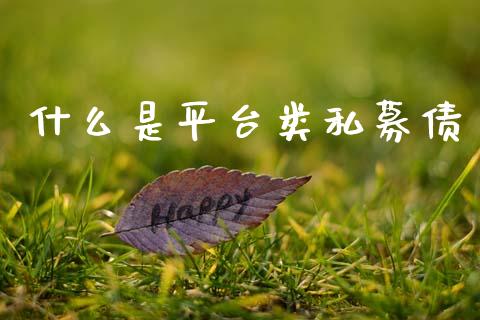 什么是平台类私募债_https://m.jnlaobingbanjia.com_基金市场_第1张