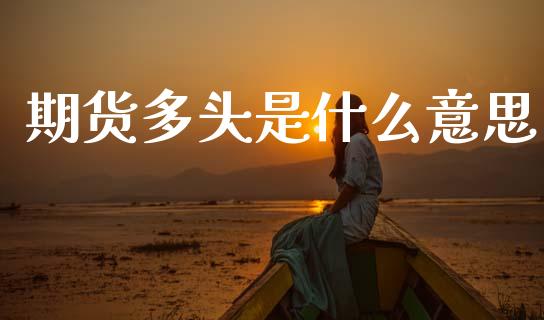 期货多头是什么意思_https://m.jnlaobingbanjia.com_基金市场_第1张