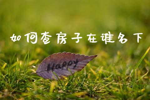 如何查房子在谁名下_https://m.jnlaobingbanjia.com_金融监管_第1张