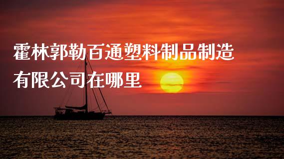 霍林郭勒百通塑料制品制造有限公司在哪里_https://m.jnlaobingbanjia.com_全球市场_第1张