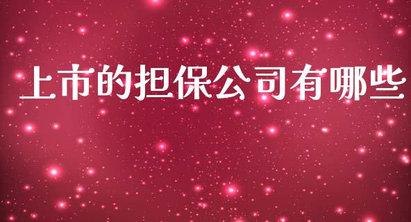 上市的担保公司有哪些_https://m.jnlaobingbanjia.com_区块链_第1张