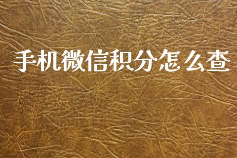 手机微信积分怎么查_https://m.jnlaobingbanjia.com_理财规划_第1张