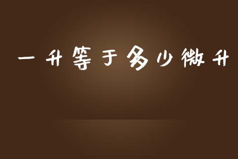一升等于多少微升_https://m.jnlaobingbanjia.com_基金市场_第1张