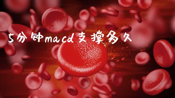 5分钟macd支撑多久_https://m.jnlaobingbanjia.com_股市新闻_第1张