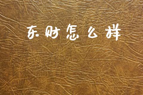 东财怎么样_https://m.jnlaobingbanjia.com_全球市场_第1张