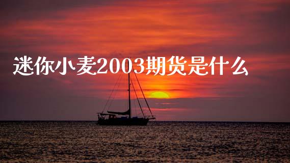 迷你小麦2003期货是什么_https://m.jnlaobingbanjia.com_基金市场_第1张