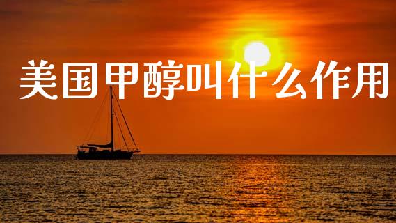 美国甲醇叫什么作用_https://m.jnlaobingbanjia.com_全球市场_第1张