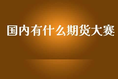 国内有什么期货大赛_https://m.jnlaobingbanjia.com_基金市场_第1张