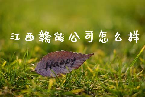 江西赣能公司怎么样_https://m.jnlaobingbanjia.com_金融监管_第1张