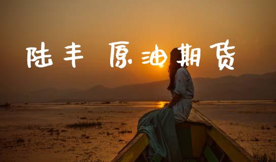 陆丰 原油期货_https://m.jnlaobingbanjia.com_基金市场_第1张