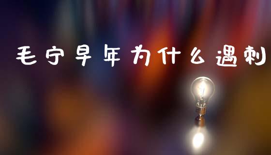 毛宁早年为什么遇刺_https://m.jnlaobingbanjia.com_股市新闻_第1张
