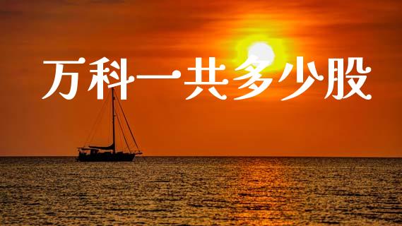 万科一共多少股_https://m.jnlaobingbanjia.com_基金市场_第1张