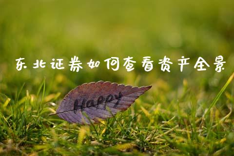 东北证券如何查看资产全景_https://m.jnlaobingbanjia.com_金融监管_第1张