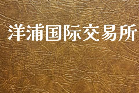 洋浦国际交易所_https://m.jnlaobingbanjia.com_区块链_第1张