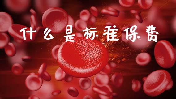 什么是标准保费_https://m.jnlaobingbanjia.com_股市新闻_第1张