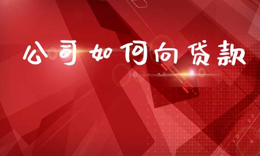 公司如何向贷款_https://m.jnlaobingbanjia.com_区块链_第1张