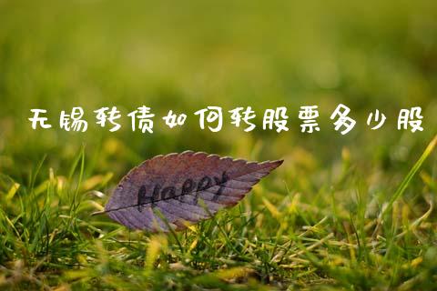 无锡转债如何转股票多少股_https://m.jnlaobingbanjia.com_理财规划_第1张