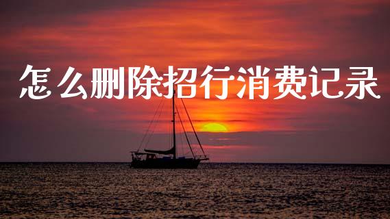 怎么删除招行消费记录_https://m.jnlaobingbanjia.com_理财规划_第1张