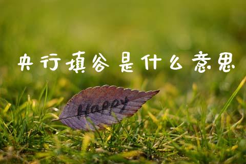 央行填谷是什么意思_https://m.jnlaobingbanjia.com_全球市场_第1张