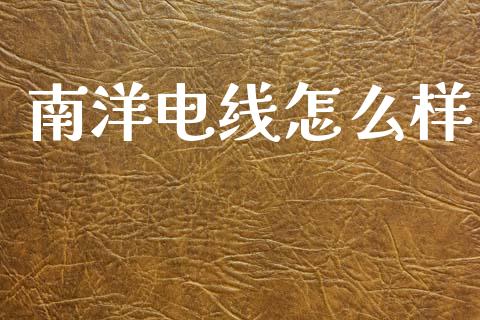 南洋电线怎么样_https://m.jnlaobingbanjia.com_股市新闻_第1张