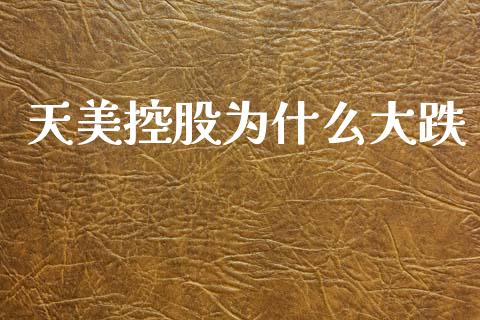天美控股为什么大跌_https://m.jnlaobingbanjia.com_理财规划_第1张
