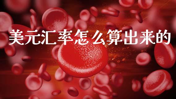 美元汇率怎么算出来的_https://m.jnlaobingbanjia.com_金融监管_第1张