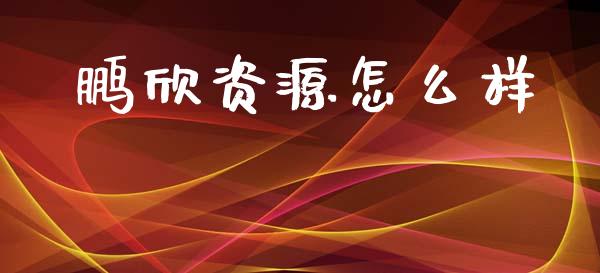 鹏欣资源怎么样_https://m.jnlaobingbanjia.com_基金市场_第1张
