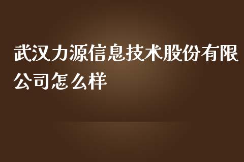 武汉力源信息技术股份有限公司怎么样_https://m.jnlaobingbanjia.com_金融监管_第1张