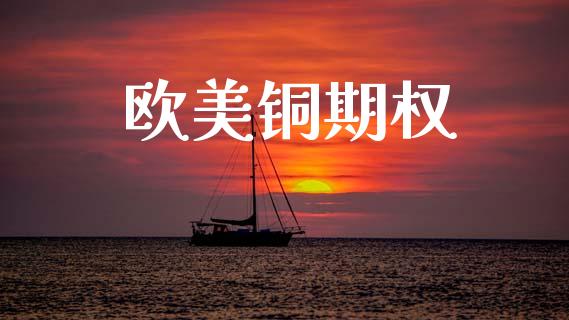 欧美铜期权_https://m.jnlaobingbanjia.com_金融监管_第1张