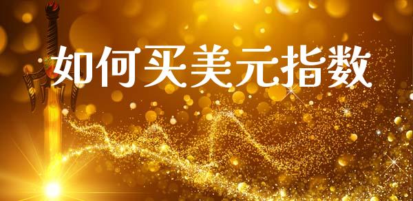 如何买美元指数_https://m.jnlaobingbanjia.com_基金市场_第1张