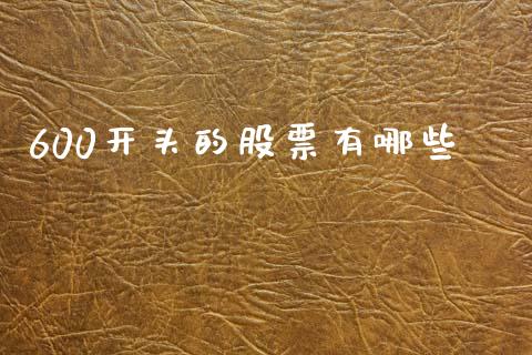 600开头的股票有哪些_https://m.jnlaobingbanjia.com_股市新闻_第1张