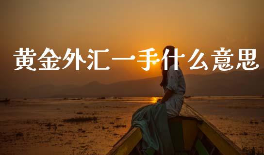 黄金外汇一手什么意思_https://m.jnlaobingbanjia.com_区块链_第1张
