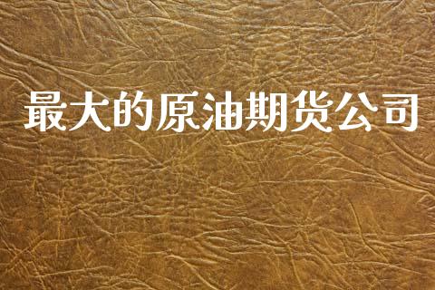 最大的原油期货公司_https://m.jnlaobingbanjia.com_理财规划_第1张