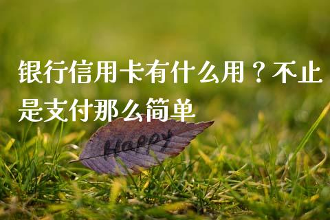 银行信用卡有什么用？不止是支付那么简单_https://m.jnlaobingbanjia.com_股市新闻_第1张