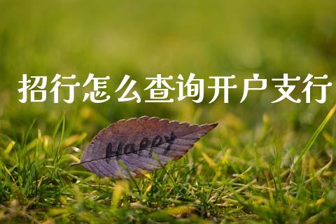 招行怎么查询开户支行_https://m.jnlaobingbanjia.com_金融监管_第1张