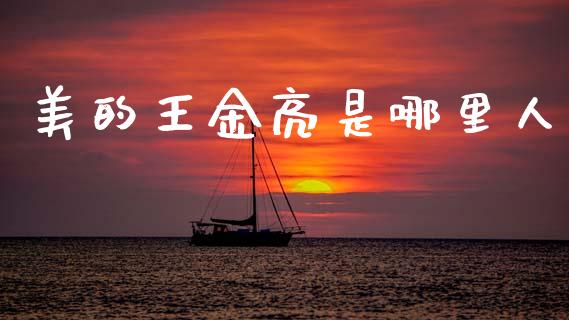 美的王金亮是哪里人_https://m.jnlaobingbanjia.com_基金市场_第1张