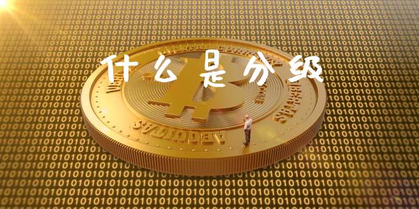 什么是分级_https://m.jnlaobingbanjia.com_基金市场_第1张